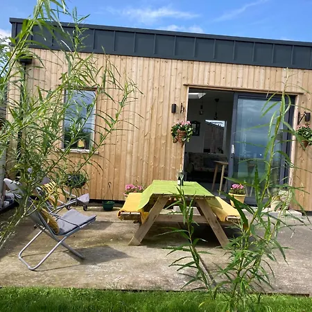 Wild Atlantic Cabin